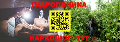 альфа пвп Волгодонск