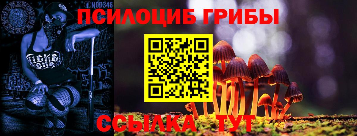 Псилоцибиновые грибы ЛСД Нижнекамск